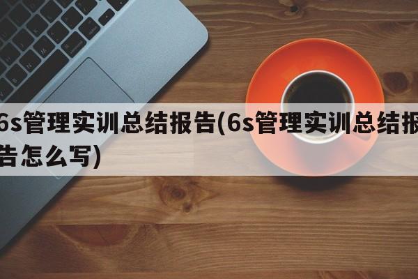 6s管理实训总结报告(6s管理实训总结报告怎么写)